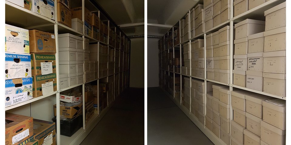 Teile der Osteologischen Sammlung im Depot des Naturhistorischen Museums Wien Aus dem Projekt Dead Images // Parts of the Osteological collection at the depot of the Natural History Museum, Vienna From the project Dead Images (Photo: Tal Adler)