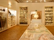 Blick in die Kunstkammer