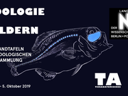 Grafik: Die Lange Nacht der Wissenschaften im Tieranatomischen Theater, © Felix Sattler/HU Berlin 2019