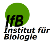 Mit Dank an Ines Drescher und Kristin Jütz