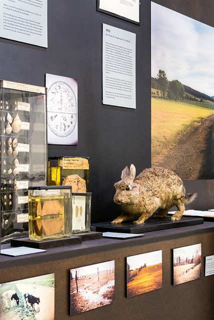 Nöller-Ausstellung &ndash; Ausstellungsansichten