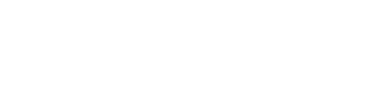 Stiftung Mercator